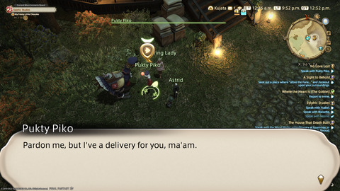ffxiv_20220210_215217_630.png
