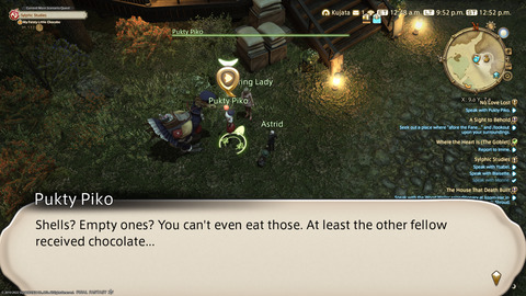 ffxiv_20220210_215222_396.png