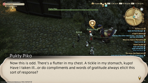 ffxiv_20220210_215436_563.png