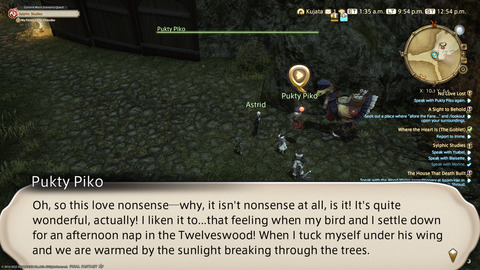 ffxiv_20220210_215440_146.png