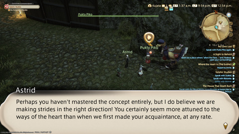 ffxiv_20220210_215444_930.png