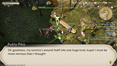 ffxiv_20220210_220957_629.png
