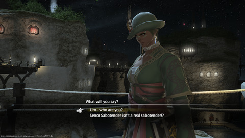 ffxiv_20220603_195412_023.png