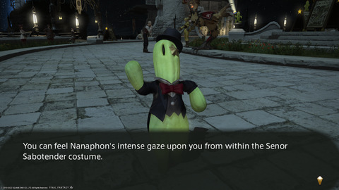 ffxiv_20220603_210636_351.png