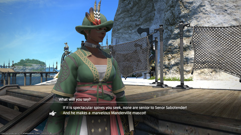 ffxiv_20220603_213745_092.png