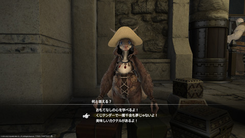 ffxiv_20220603_192209_382.png