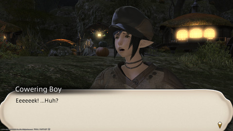 ffxiv_20231107_210157_358.png