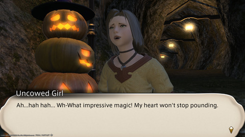 ffxiv_20231107_210506_373.png