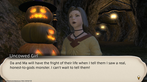 ffxiv_20231107_210514_373.png