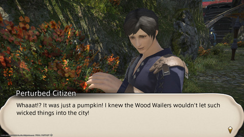 ffxiv_20231107_212031_671.png