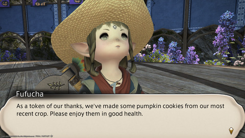 ffxiv_20231107_213038_602.png