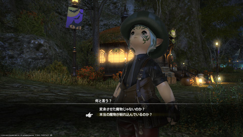 ffxiv_20231030_225611_121.png