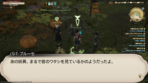 ffxiv_20231030_230205_403.png