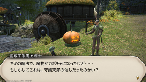 ffxiv_20231030_232322_798.png