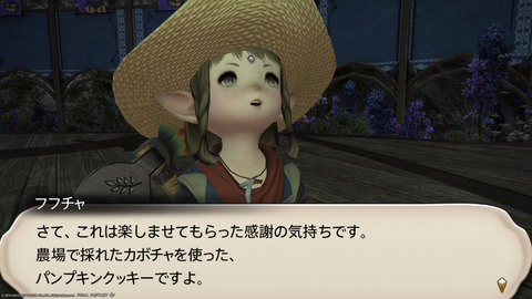 ffxiv_20231030_232906_481.png