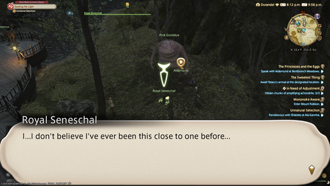 ffxiv_20240331_215911_250.png
