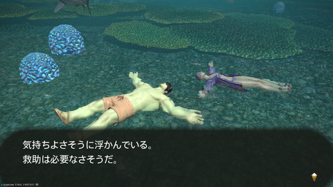 ffxiv_20250825_011108_922.png